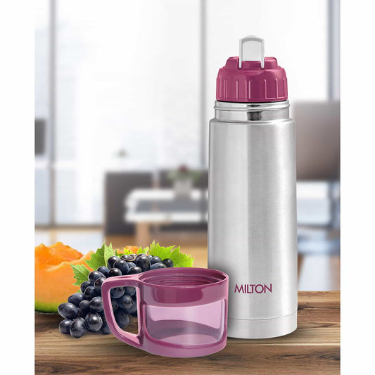 Glassy Thermosteel Flask (Milton) | F4S1019