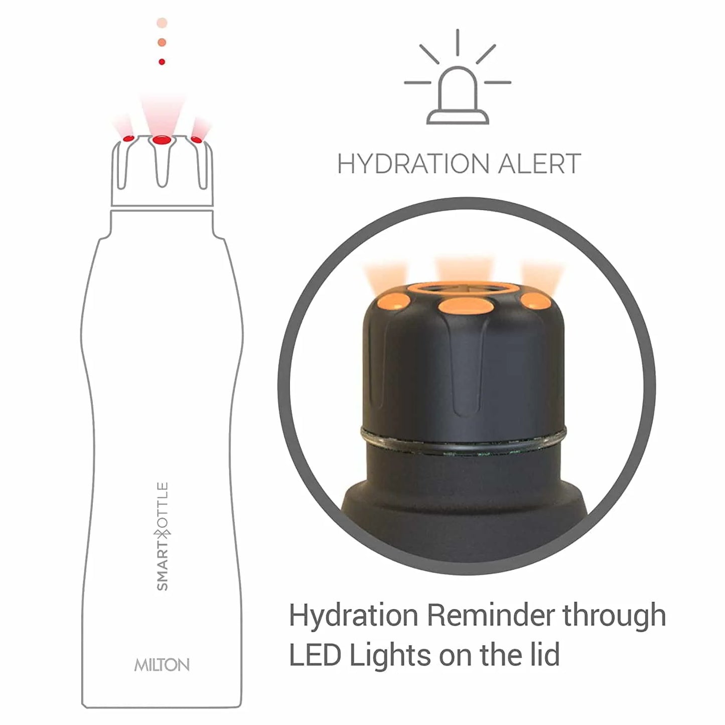 Smart Bottle (Milton) | F4S1018