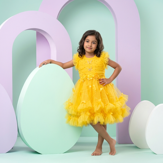 Faiz4s | Modern net Frock For Girl | Sleeveless Dress | 2 -13 Years | F4S1008