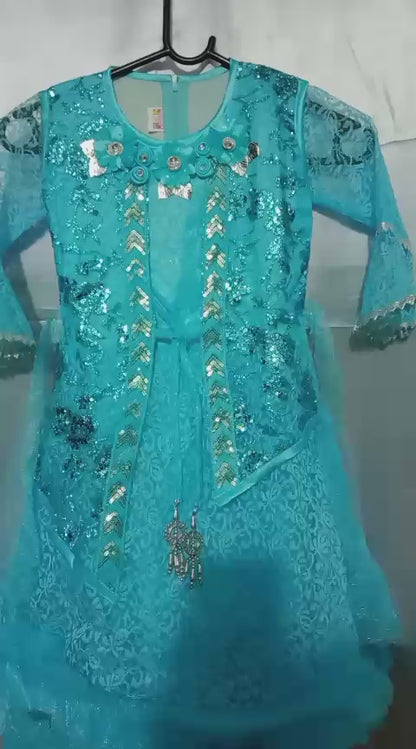 Faiz4s | Modern net Frock For Girl |  Sleeve Dress | 5 - 8 Years | F4S1007